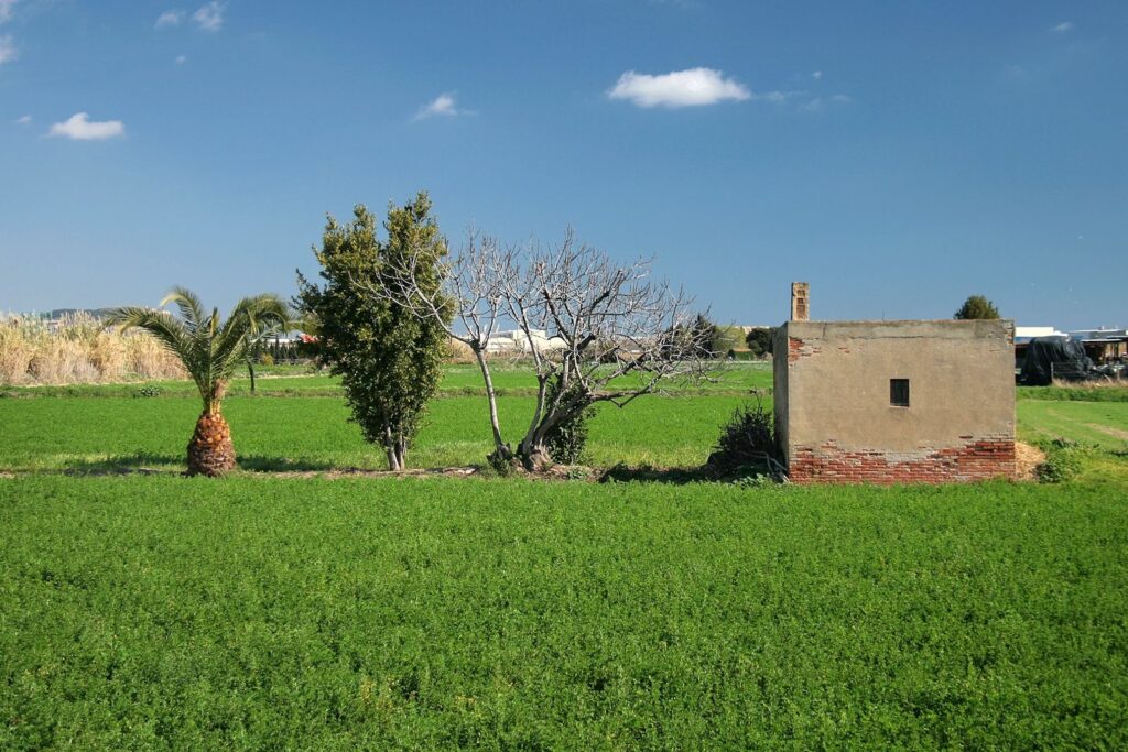 Apat parc agrari